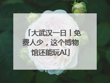 大武汉一日丨免费人少，这个博物馆还能玩AI
